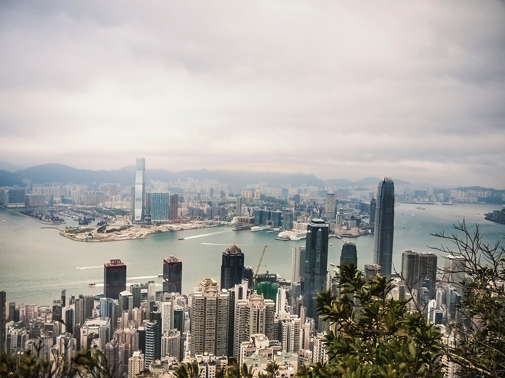 The 7 Types of Companies You Can Register in Hong Kong